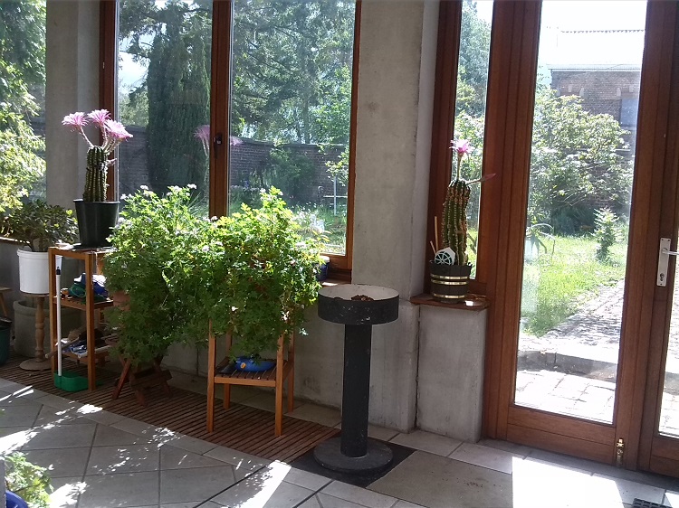 91 jardin d'hiver